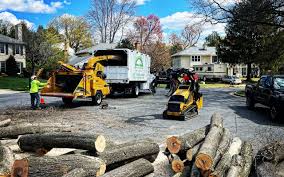 Preston Heights, IL Tree Services Company